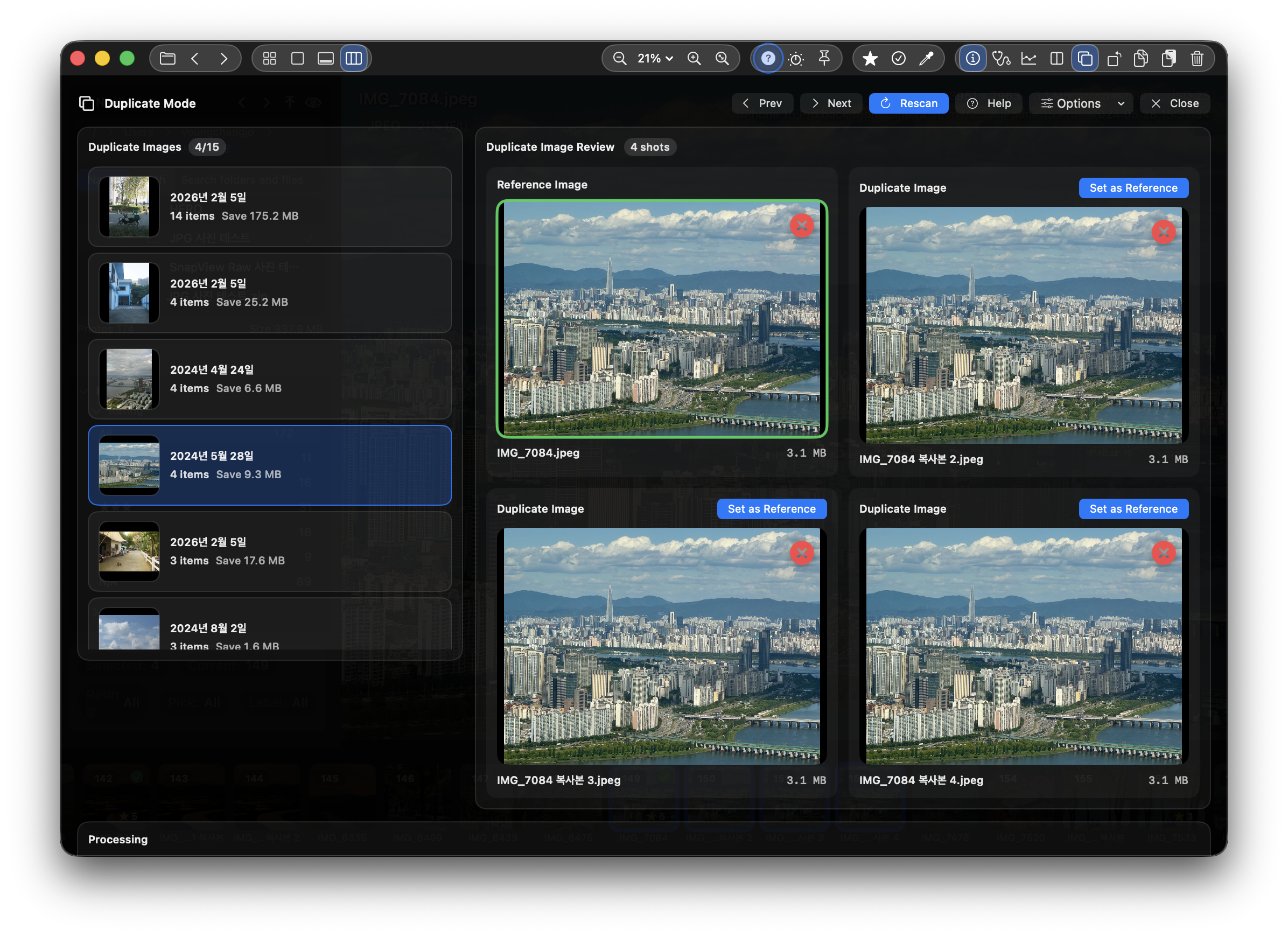 SnapView duplicate cleanup mode
